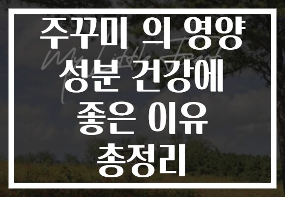 주꾸미 의 영양 성분 건강에 좋은 이유 총정리