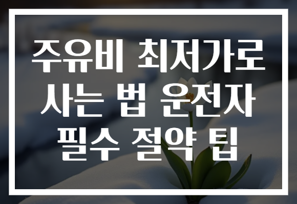 주유비 최저가로 사는 법 운전자 필수 절약 팁