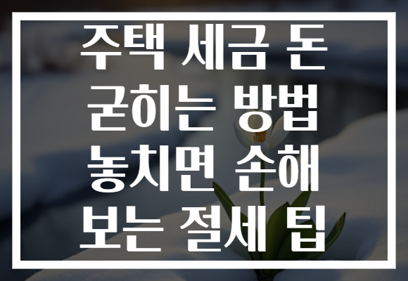 주택 세금 돈 굳히는 방법 놓치면 손해 보는 절세 팁