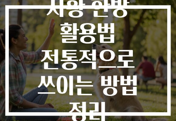 지황 한방 활용법 전통적으로 쓰이는 방법 정리