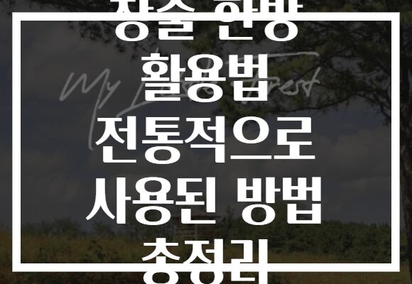 창출 한방 활용법 전통적으로 사용된 방법 총정리