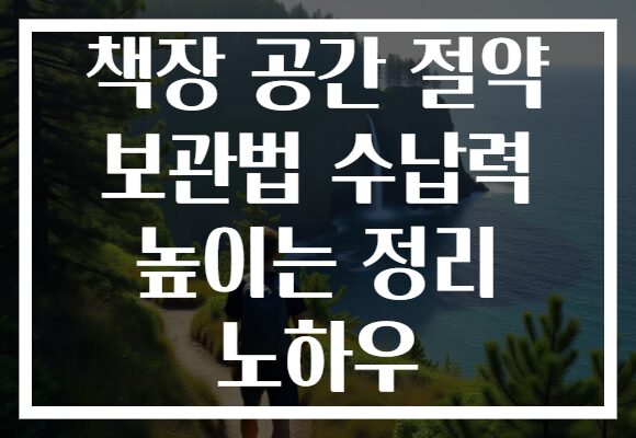 책장 공간 절약 보관법 수납력 높이는 정리 노하우