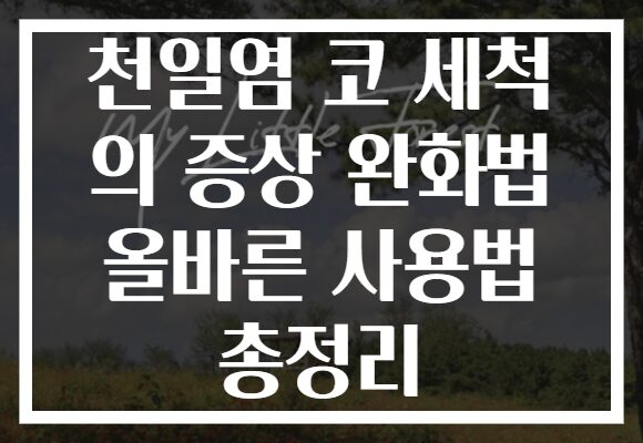 천일염 코 세척 의 증상 완화법 올바른 사용법 총정리