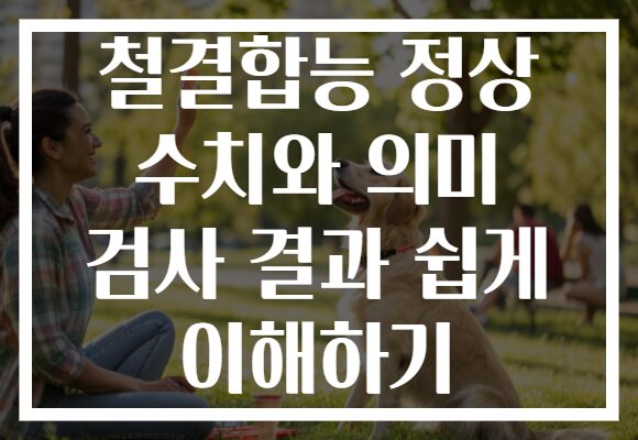 철결합능 정상 수치와 의미 검사 결과 쉽게 이해하기