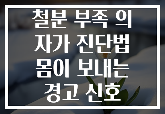 철분 부족 의 자가 진단법 몸이 보내는 경고 신호