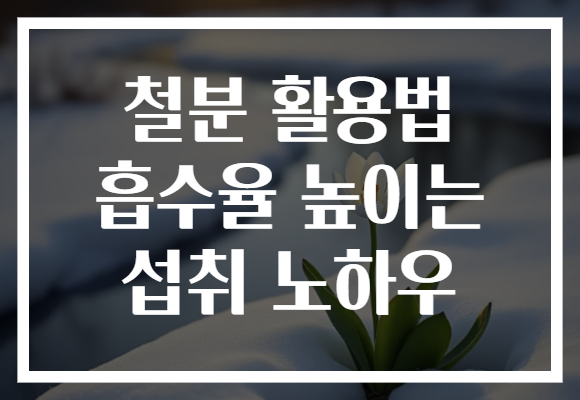 철분 활용법 흡수율 높이는 섭취 노하우
