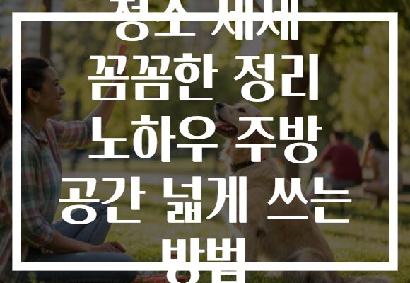 청소 세제 꼼꼼한 정리 노하우 주방 공간 넓게 쓰는 방법