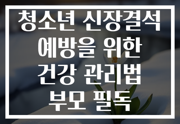 청소년 신장결석 예방을 위한 건강 관리법 부모 필독
