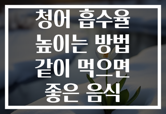 청어 흡수율 높이는 방법 같이 먹으면 좋은 음식