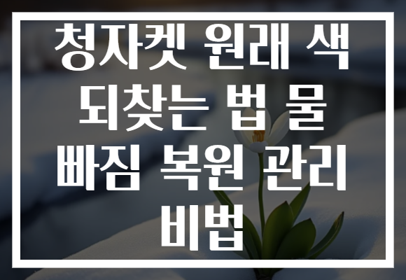 청자켓 원래 색 되찾는 법 물 빠짐 복원 관리 비법