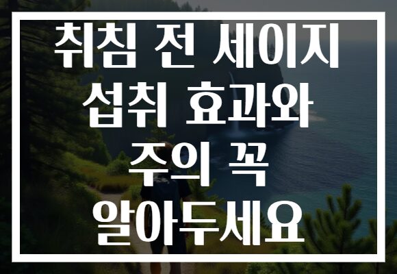 취침 전 세이지 섭취 효과와 주의 꼭 알아두세요