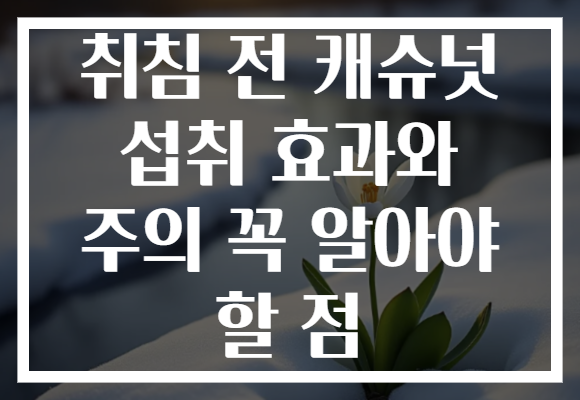 취침 전 캐슈넛 섭취 효과와 주의 꼭 알아야 할 점