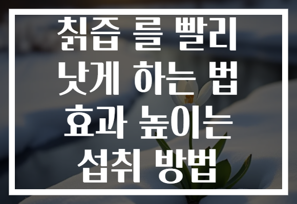 칡즙 를 빨리 낫게 하는 법 효과 높이는 섭취 방법