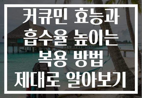 커큐민 효능과 흡수율 높이는 복용 방법 제대로 알아보기