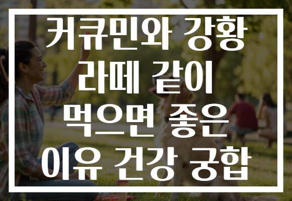커큐민와 강황 라떼 같이 먹으면 좋은 이유 건강 궁합