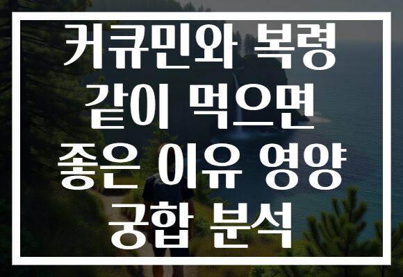 커큐민와 복령 같이 먹으면 좋은 이유 영양 궁합 분석