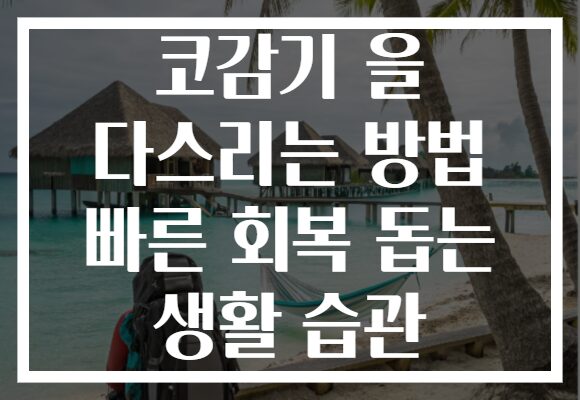 코감기 을 다스리는 방법 빠른 회복 돕는 생활 습관