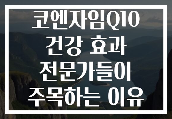 코엔자임Q10 건강 효과 전문가들이 주목하는 이유