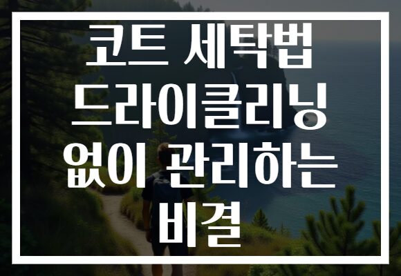 코트 세탁법 드라이클리닝 없이 관리하는 비결