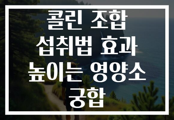 콜린 조합 섭취법 효과 높이는 영양소 궁합