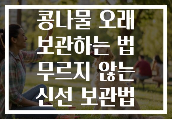 콩나물 오래 보관하는 법 무르지 않는 신선 보관법