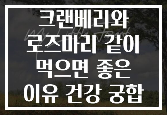 크랜베리와 로즈마리 같이 먹으면 좋은 이유 건강 궁합