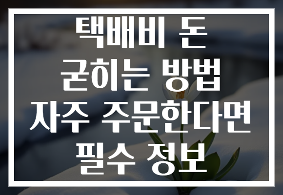 택배비 돈 굳히는 방법 자주 주문한다면 필수 정보