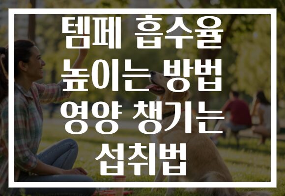 템페 흡수율 높이는 방법 영양 챙기는 섭취법