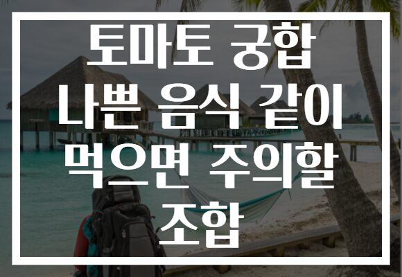 토마토 궁합 나쁜 음식 같이 먹으면 주의할 조합