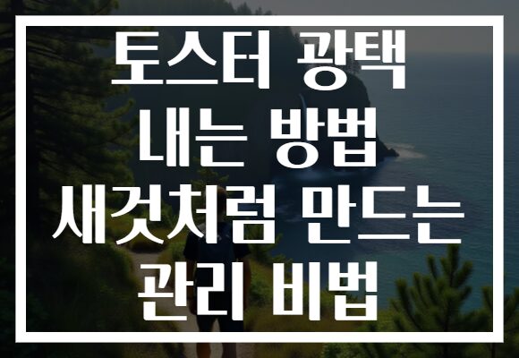 토스터 광택 내는 방법 새것처럼 만드는 관리 비법
