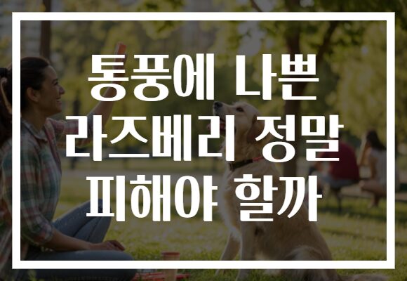 통풍에 나쁜 라즈베리 정말 피해야 할까
