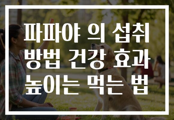 파파야 의 섭취 방법 건강 효과 높이는 먹는 법