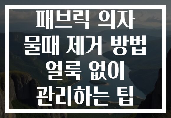패브릭 의자 물때 제거 방법 얼룩 없이 관리하는 팁