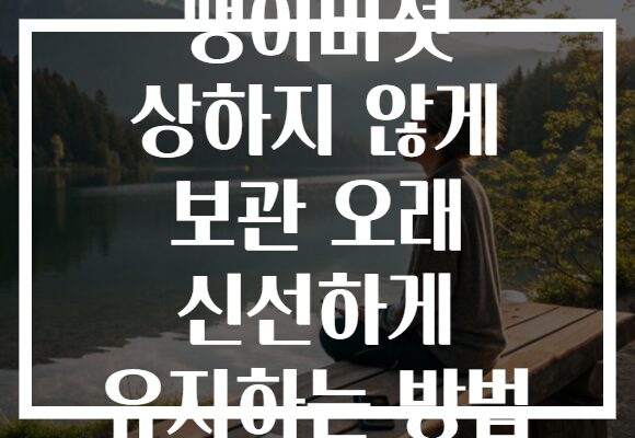 팽이버섯 상하지 않게 보관 오래 신선하게 유지하는 방법