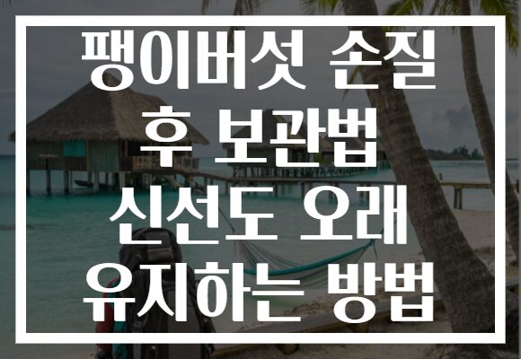 팽이버섯 손질 후 보관법 신선도 오래 유지하는 방법
