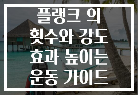 플랭크 의 횟수와 강도 효과 높이는 운동 가이드