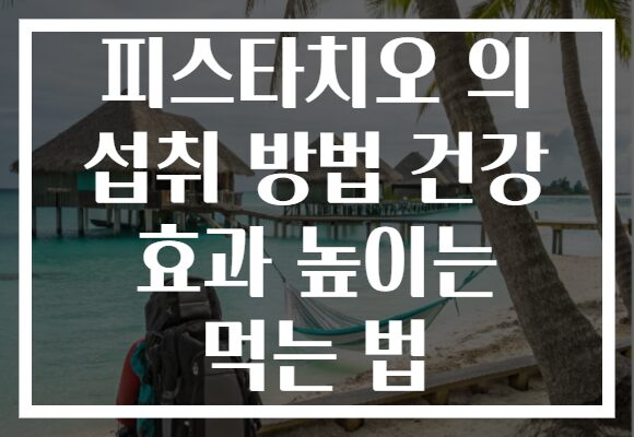 피스타치오 의 섭취 방법 건강 효과 높이는 먹는 법