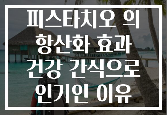 피스타치오 의 항산화 효과 건강 간식으로 인기인 이유