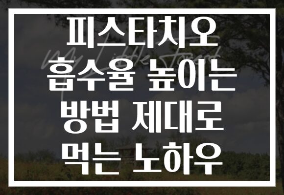 피스타치오 흡수율 높이는 방법 제대로 먹는 노하우