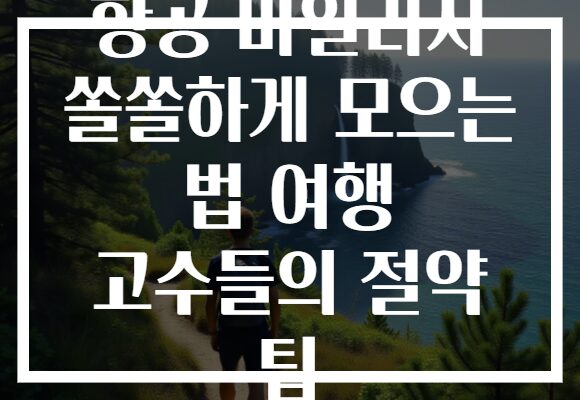 항공 마일리지 쏠쏠하게 모으는 법 여행 고수들의 절약 팁