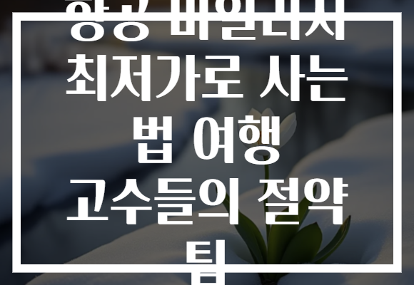 항공 마일리지 최저가로 사는 법 여행 고수들의 절약 팁