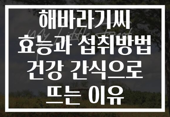 해바라기씨 효능과 섭취방법 건강 간식으로 뜨는 이유