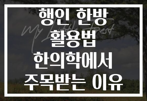 행인 한방 활용법 한의학에서 주목받는 이유