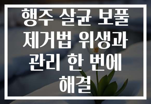 행주 살균 보풀 제거법 위생과 관리 한 번에 해결