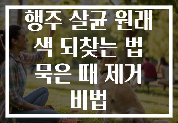행주 살균 원래 색 되찾는 법 묵은 때 제거 비법