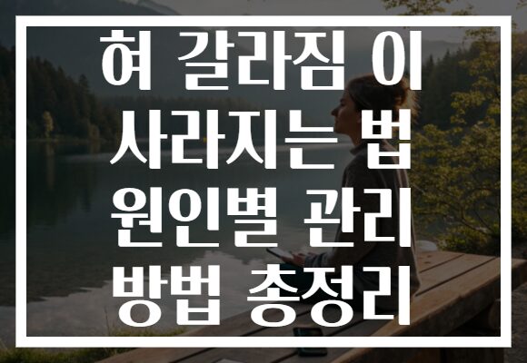 혀 갈라짐 이 사라지는 법 원인별 관리 방법 총정리