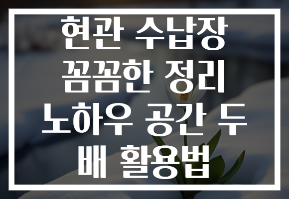 현관 수납장 꼼꼼한 정리 노하우 공간 두 배 활용법