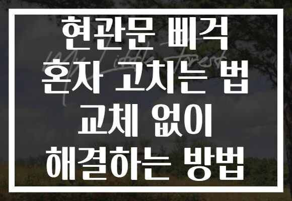 현관문 삐걱 혼자 고치는 법 교체 없이 해결하는 방법