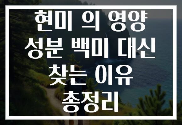 현미 의 영양 성분 백미 대신 찾는 이유 총정리