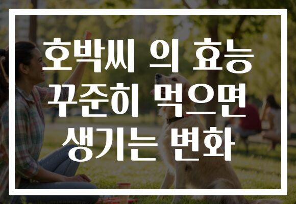 호박씨 의 효능 꾸준히 먹으면 생기는 변화